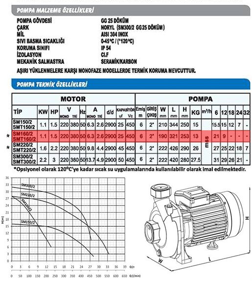 Sumak SMT160/2-S Sıcak Su Santrifüj Pompa