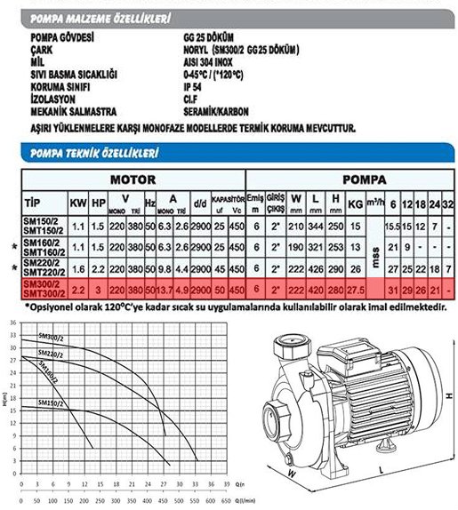 Sumak SMT300/2-S Sıcak Su Santrifüj Pompa