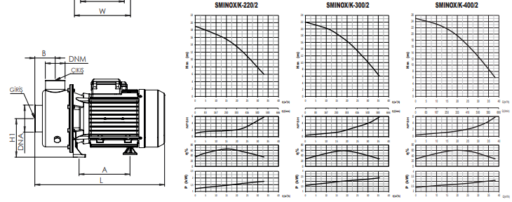 Sumak SMINOX/K-300/2 Paslanmaz Santrifüj Pompa Eğrisi ve ölçüleri